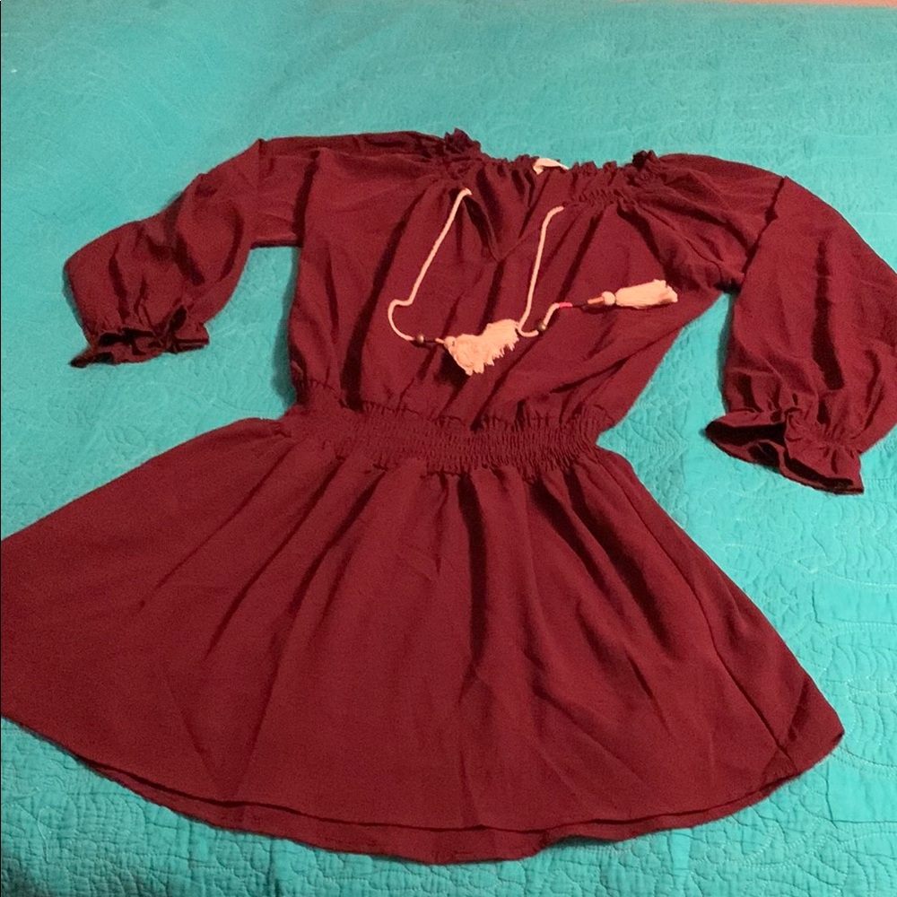 Charming Burgundy Hummingbird Dress